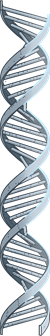Image of a DNA strand