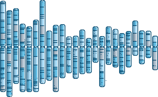 Image of gene mapping