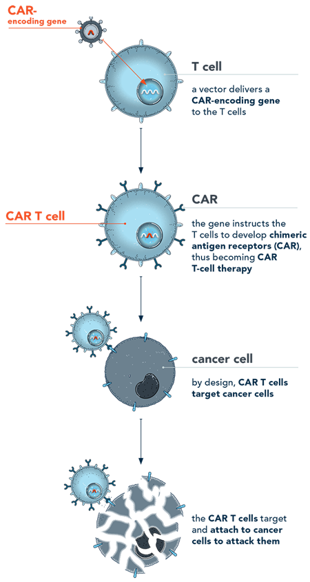 Image of CAR T-cell therapy