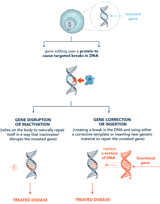Image of gene editing