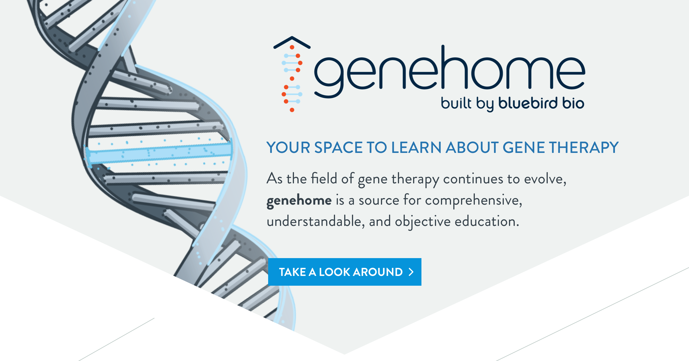 thegenehome.com logo