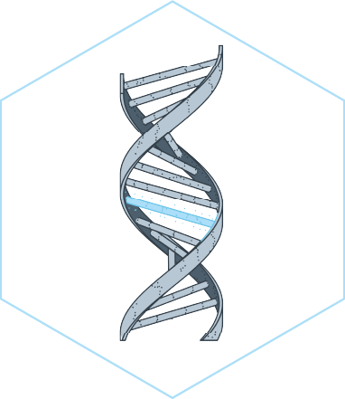 Image of gene mutation