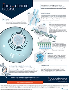 The Body and Genetic Disease downloadable resource